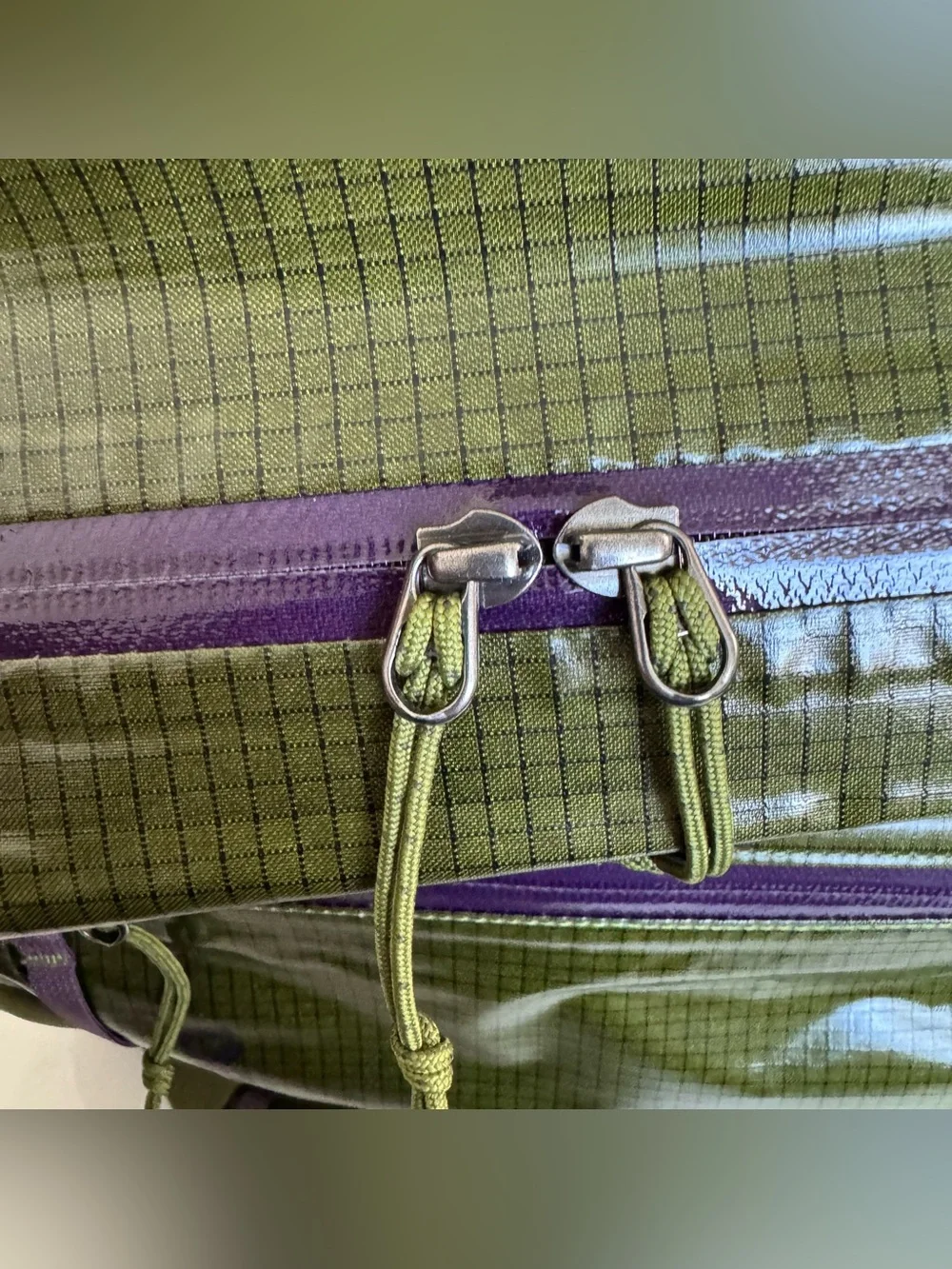 Patagonia Black Hole Pack 26L Backpack Bag Lightweight 49050 SPTG Green Purple